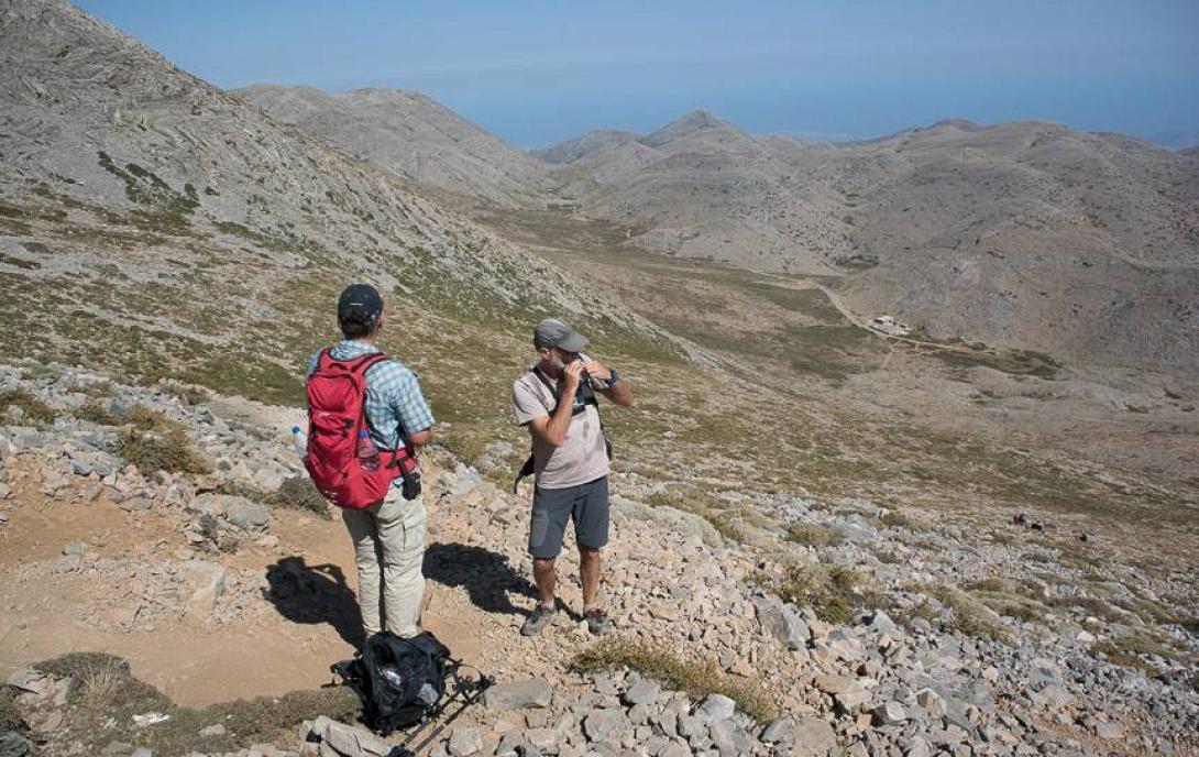 ψηλορειτης