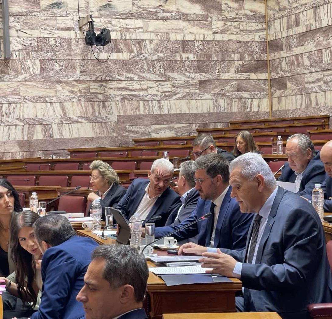 ΚΑΡΚΑΝΑΚΗΣ ΒΟΥΛΗ