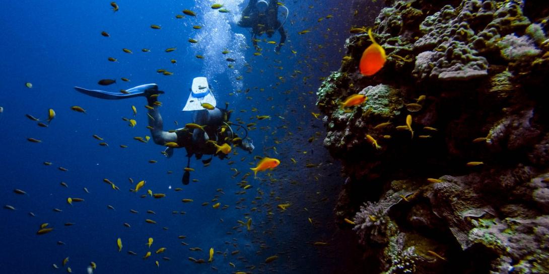 Καταδυτικό πάρκο