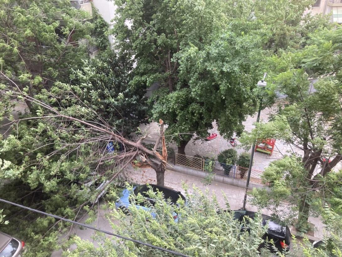 larisa spasmeno dentro