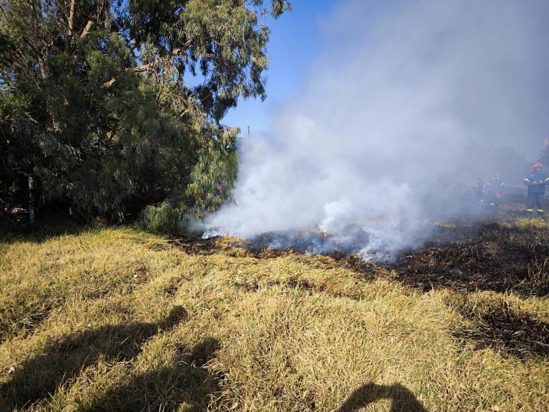 φωτιά πλατανιας