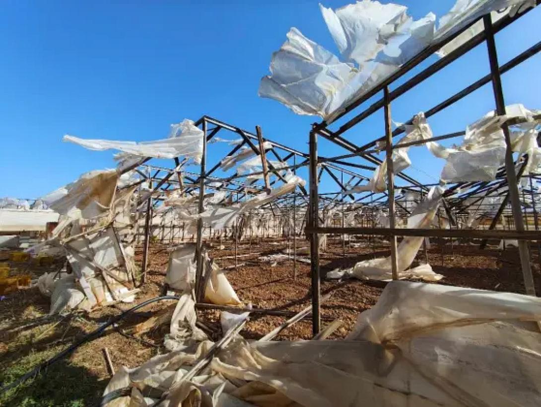 θερμοκήπια 