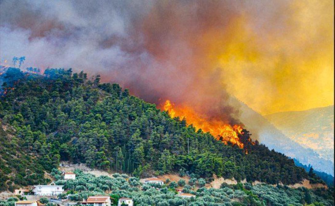 δασικη πυρκαγια