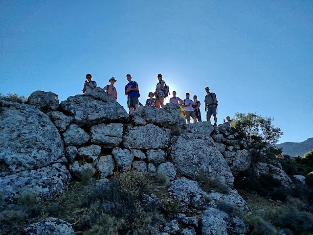 δασος κρουστα