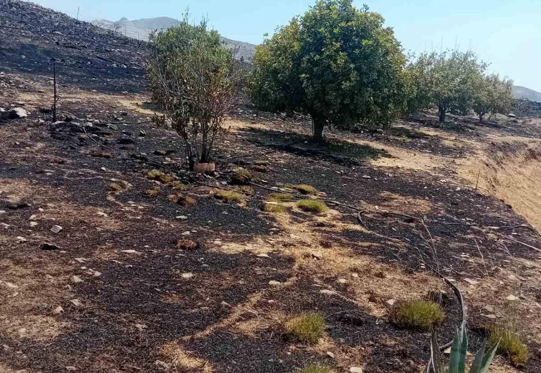 φωτιά στον τσίγκουνα