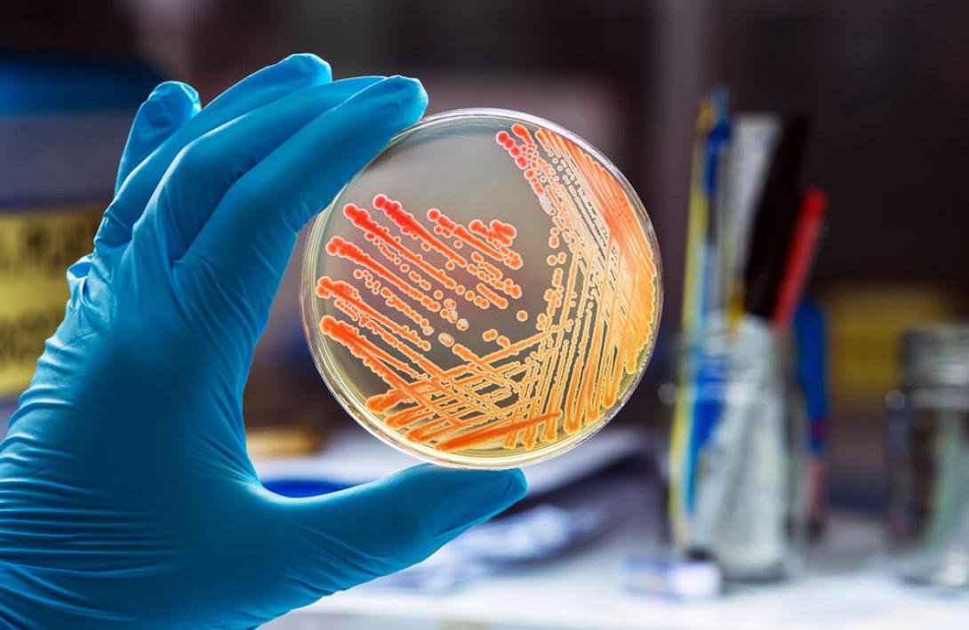 νοσος λεγεωναριων