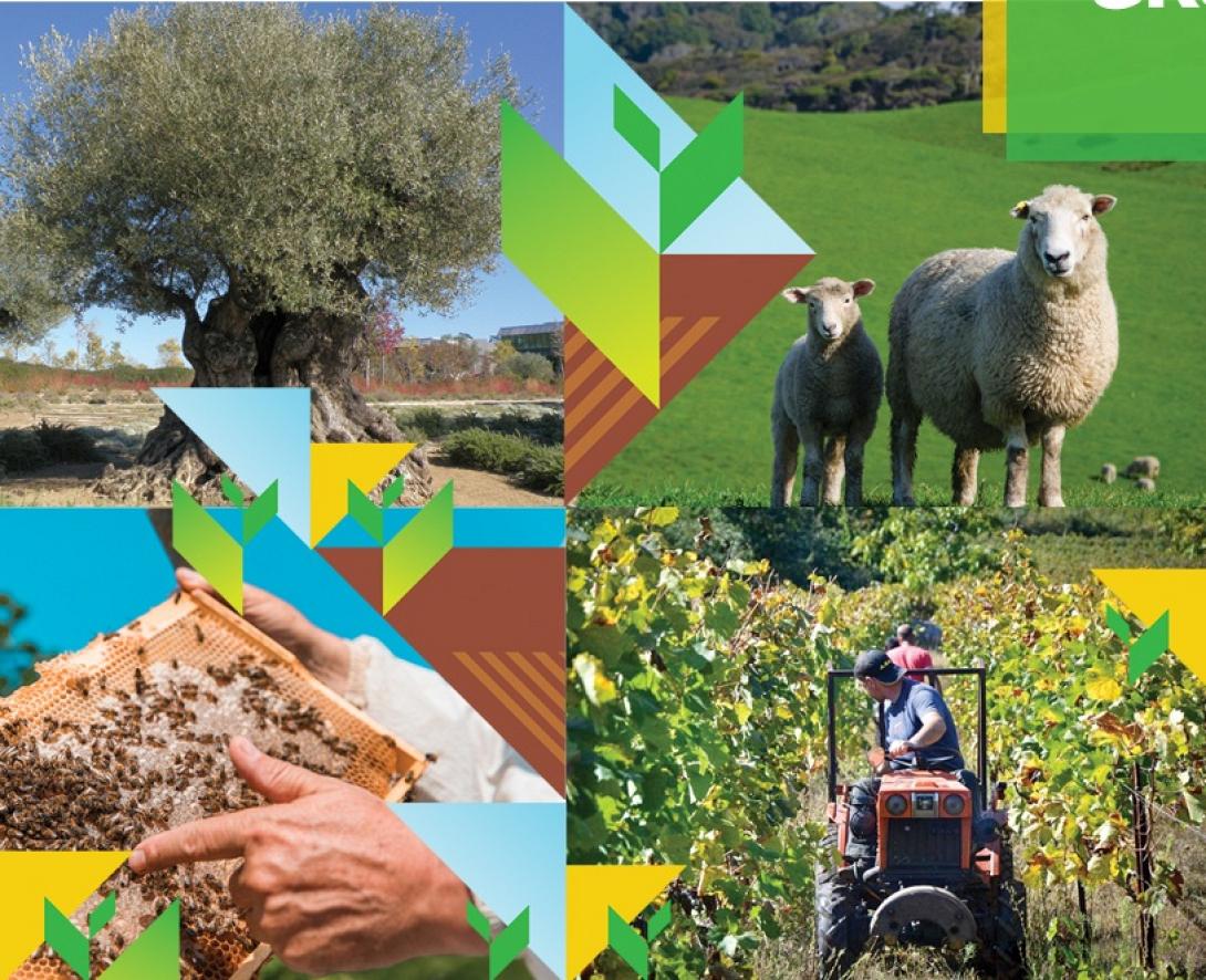 έκθεση αρκαλοχώρι