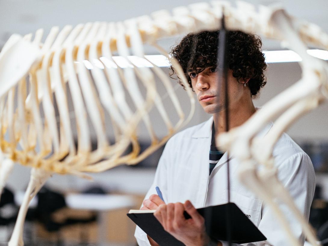 Σπουδές Κτηνιατρικής στο Ευρωπαϊκό Πανεπιστήμιο Κύπρου