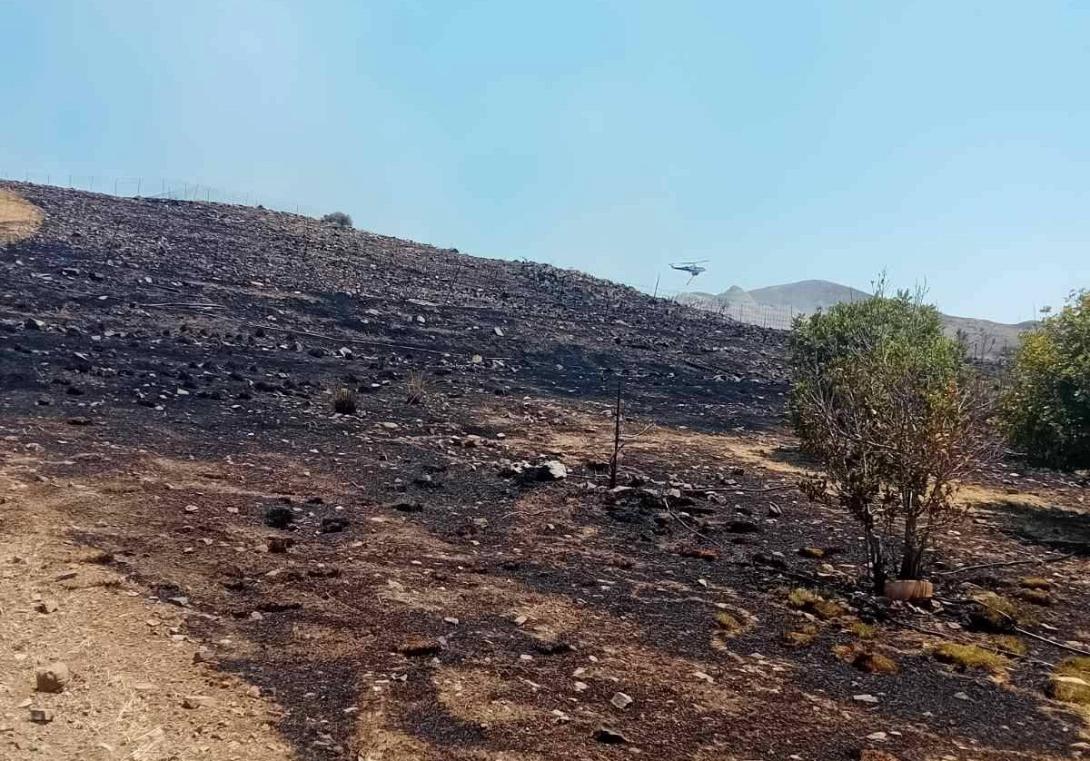 Τσίγκουνας