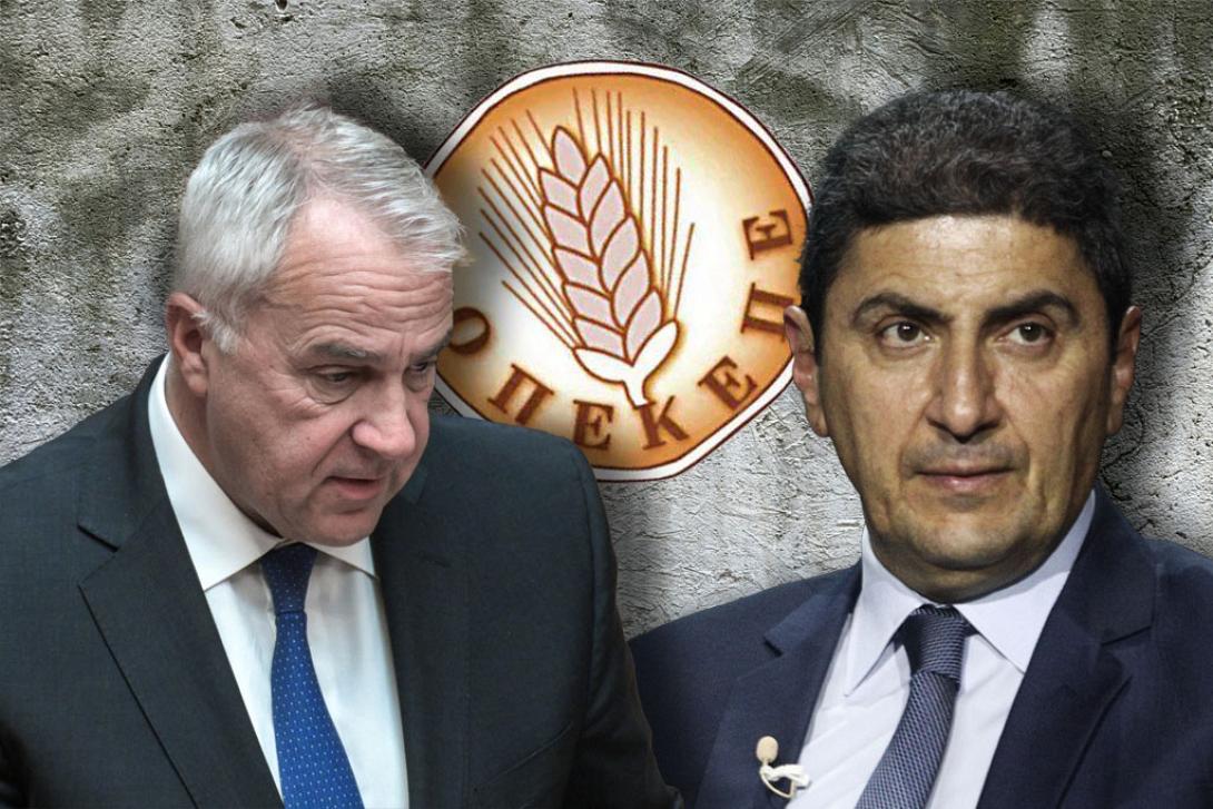 βορίδης αυγενάκης