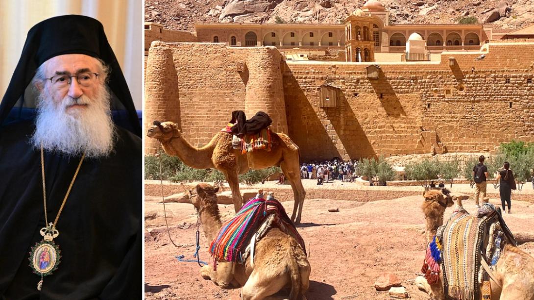 ΔΑΜΙΑΝΟς - ΣΙΝΑ