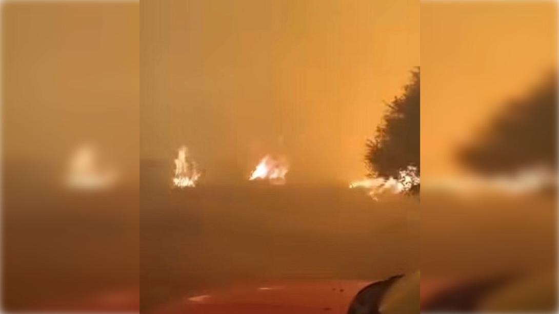 Εύβοια πυρκαγια