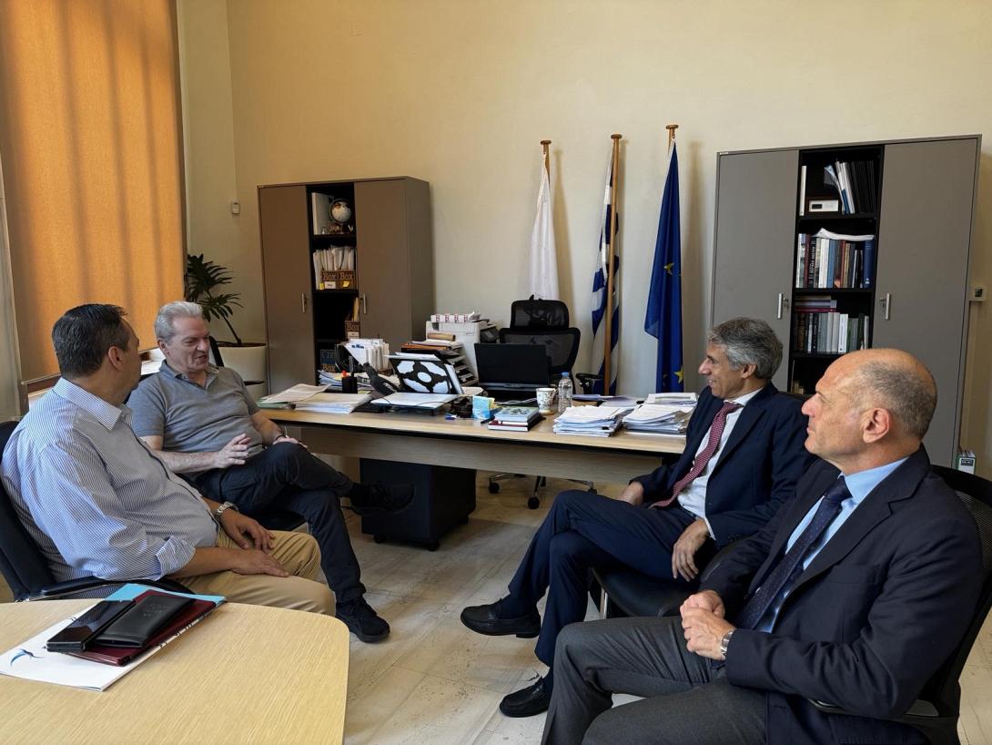 ΚΑΛΟΚΑΙΡΙΝΟΣ ΜΕ ΟΛΗ ΚΑΙ ΜΙΝΩΙΚΕΣ ΓΡΑΜΜΕΣ