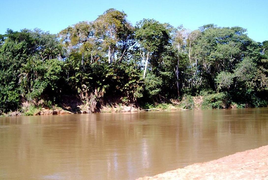 Ποτάμι Βραζιλία