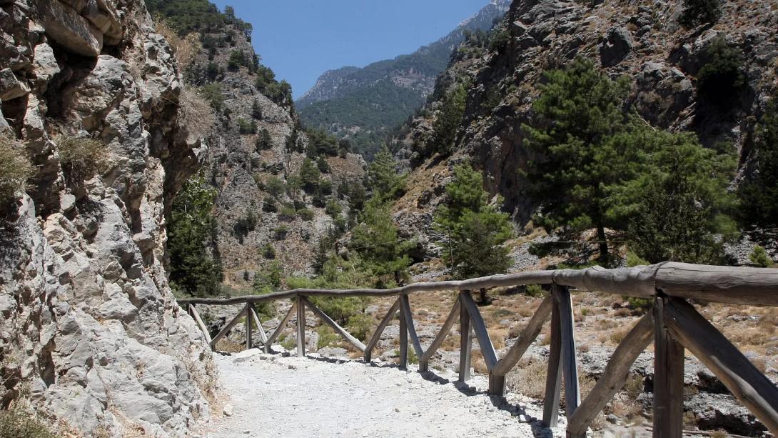 Φαράγγι της Σαμαριάς 