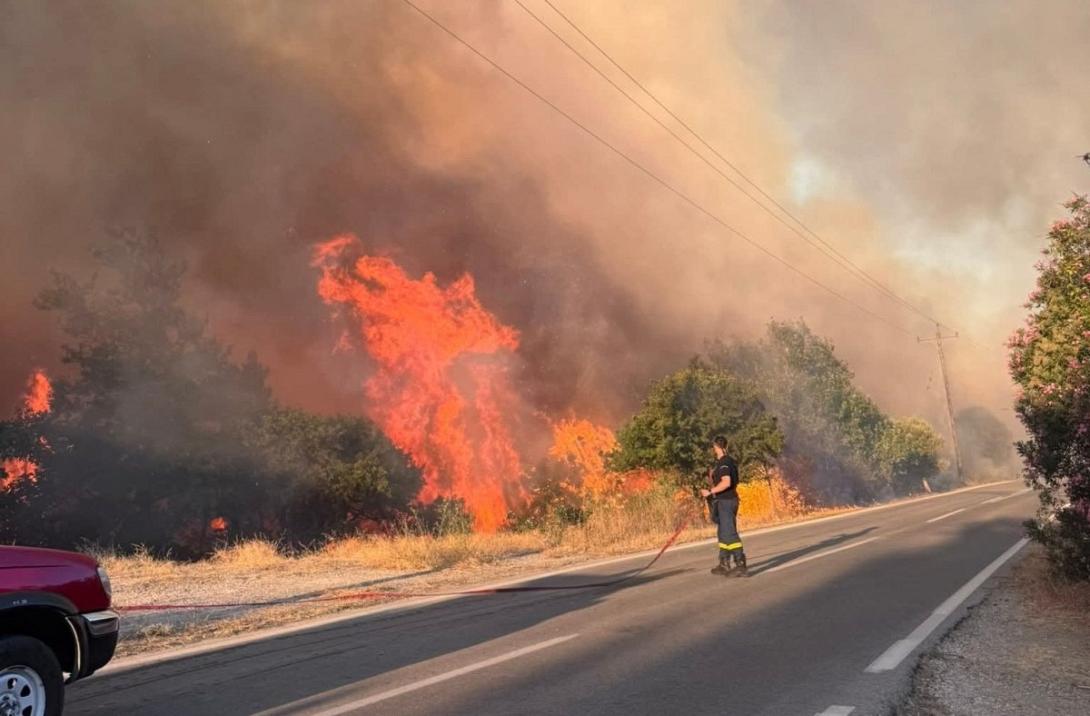 φωτια στην Πρέβεζα 