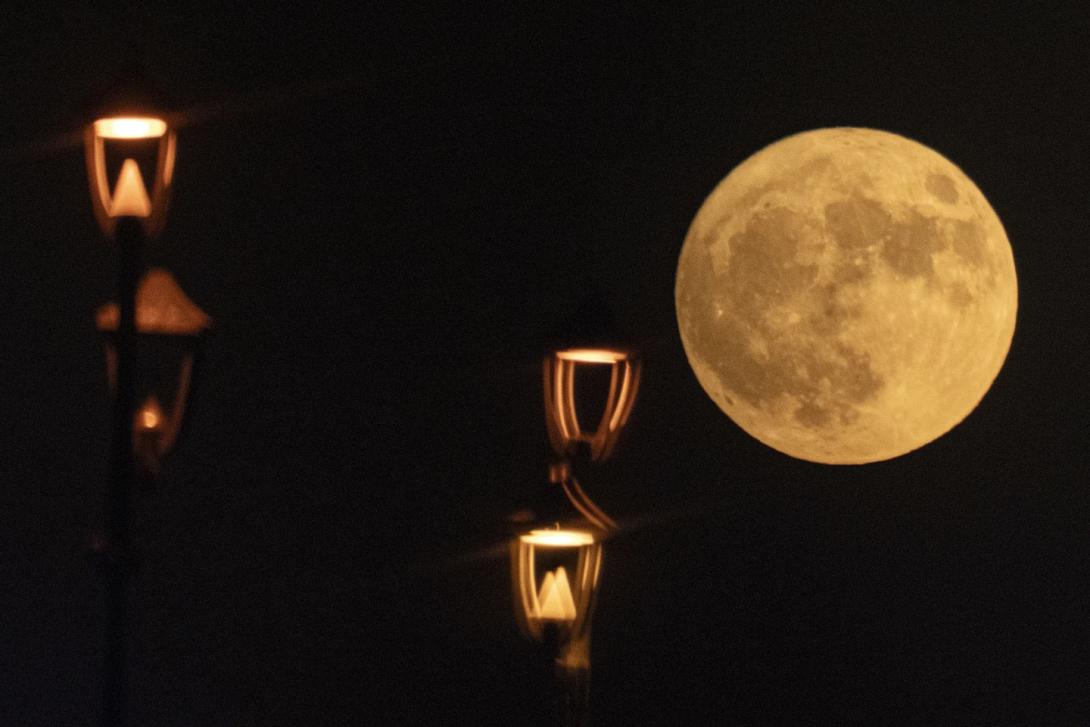 Φεγγάρι του Οξύρρυγχου