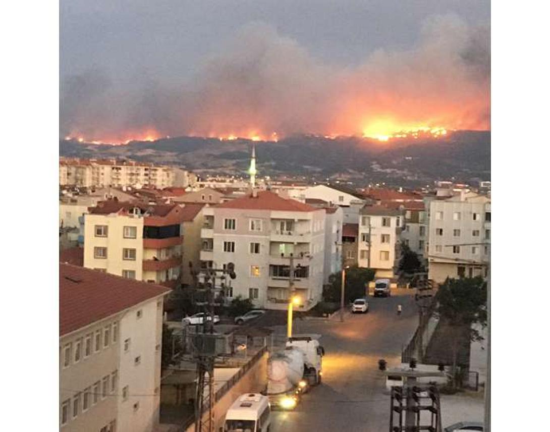 ΔΑΡΔΑΝΕΛΙΑ ΦΩΤΙΑ