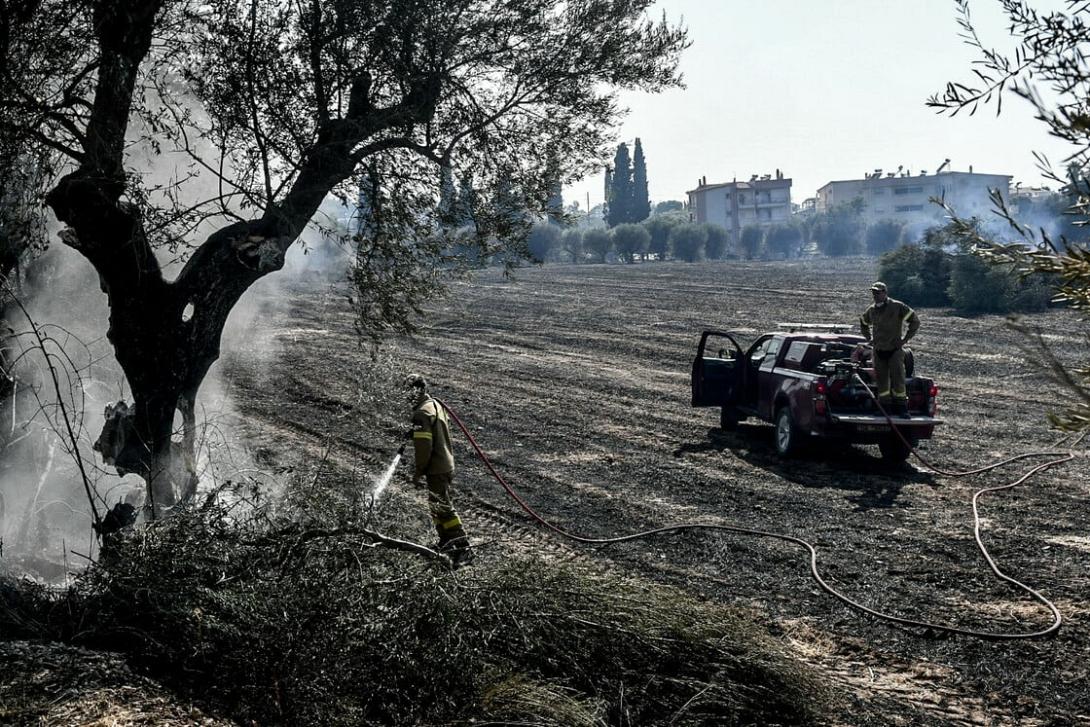 φωτιά Αχαία 