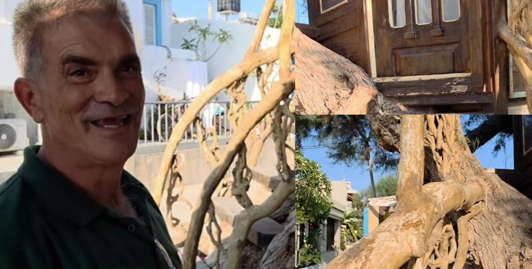 γιατρος σε δενδροσπιτο