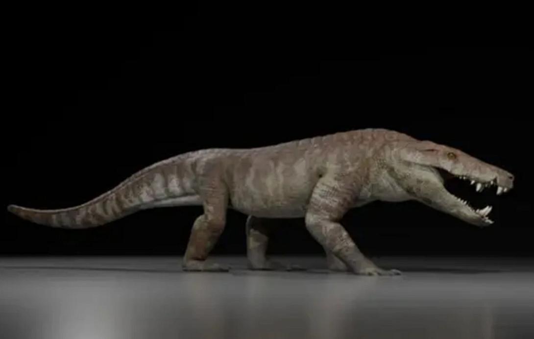 κροκόδειλος, επιστήμη