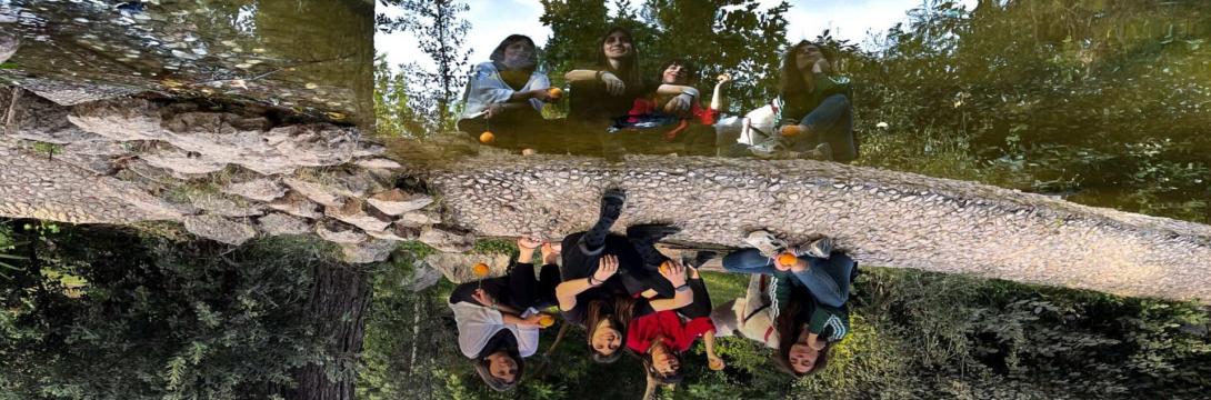 ριζες πορτοκαλιας