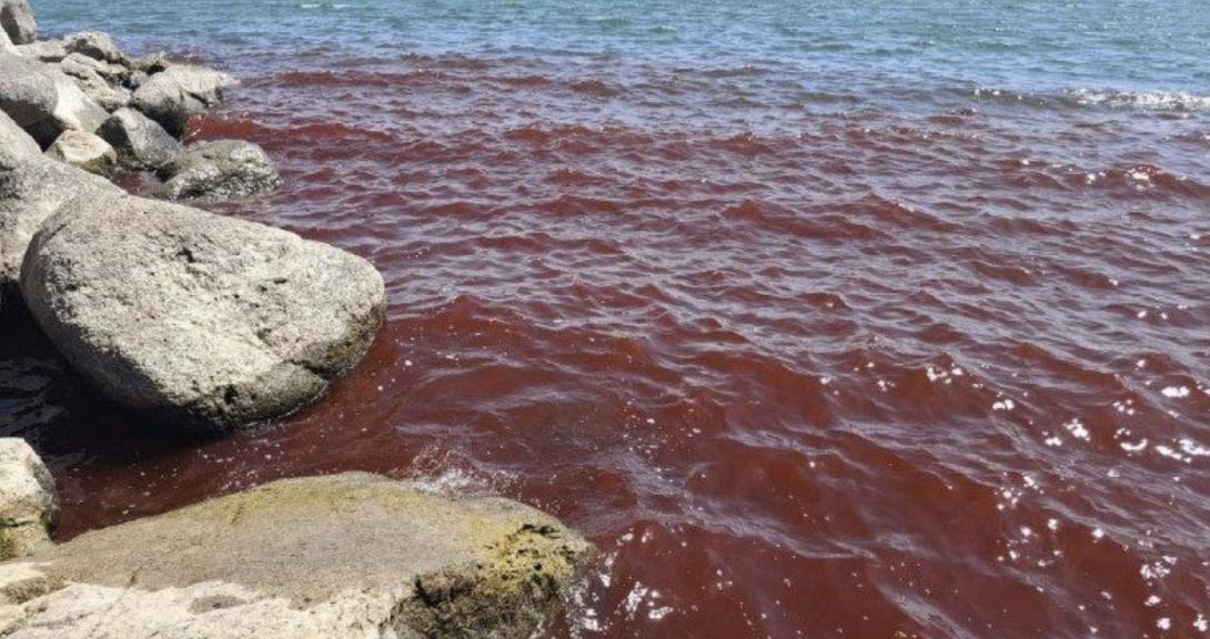 κόκκινα νερά, ανησυχίες, γαλιλαία