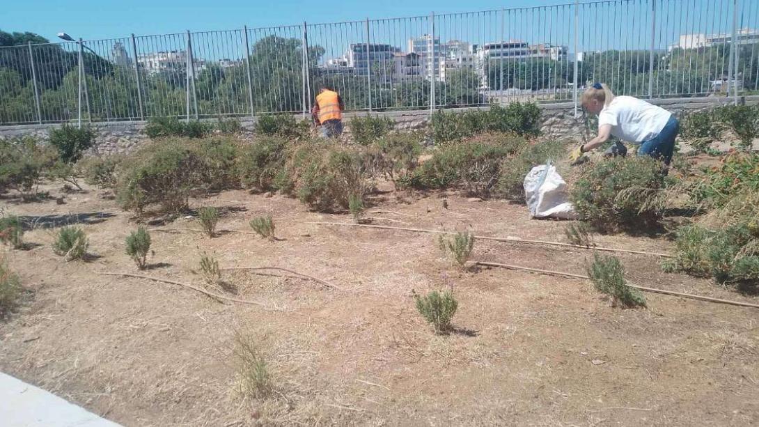 σχολεια καλλωπισμος