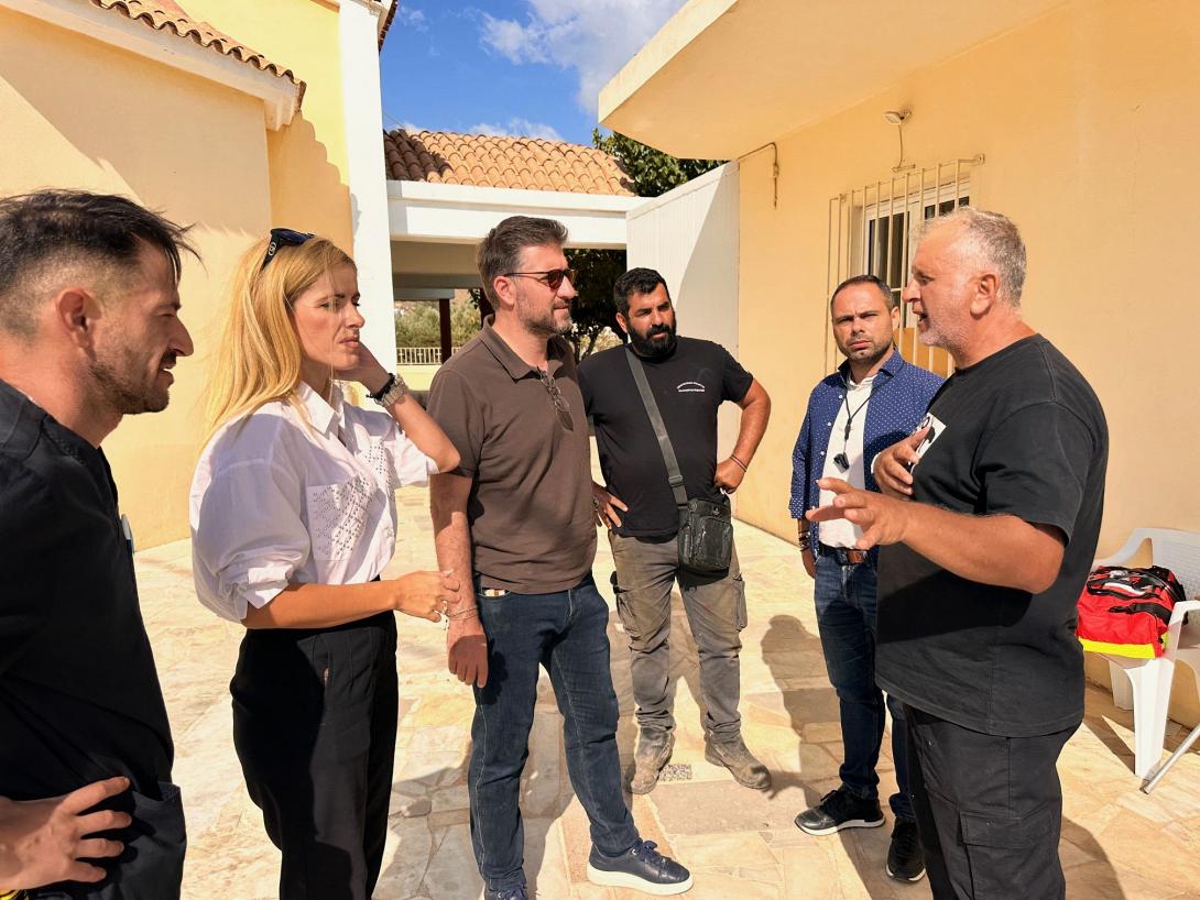 μποκεας αδεσποτα