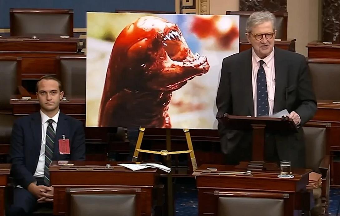 γαρίδες, αυτιά