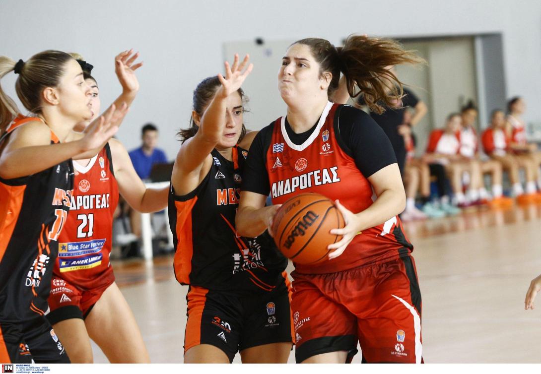 ανδρογεασ-μελισα