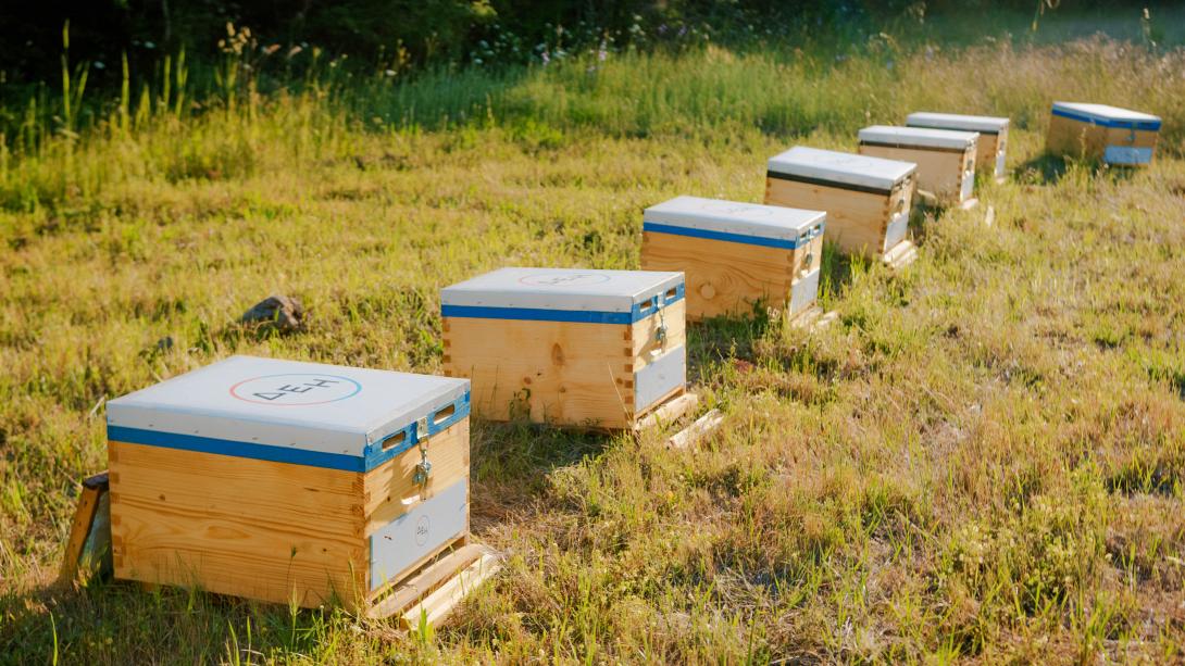 ΔΕΗ restart evros