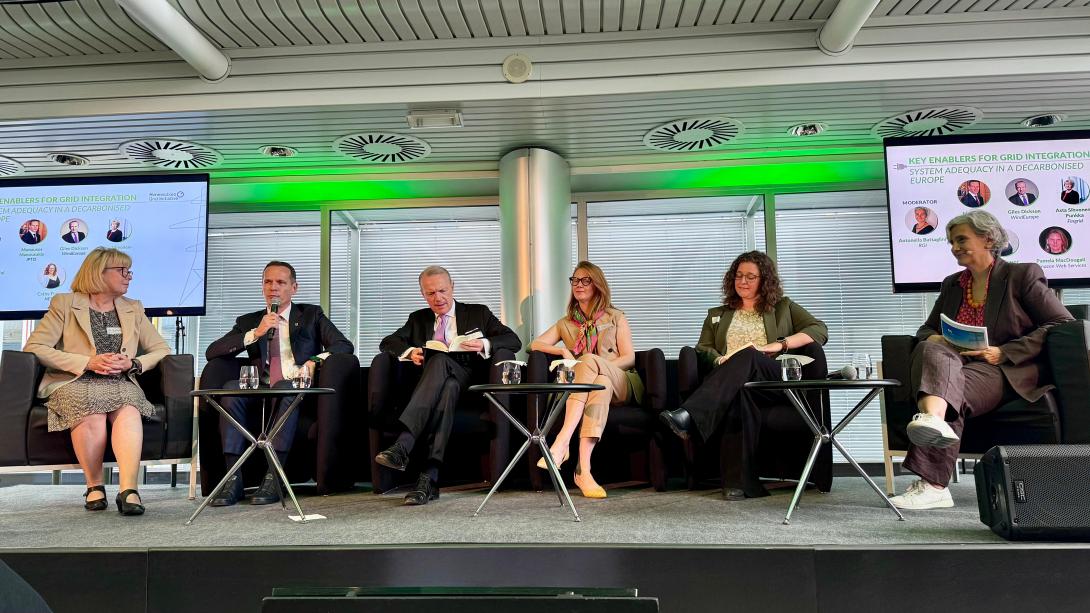 ΑΔΜΗΕ ΜΑΝΟΥΣΑΚΗΣ ΒΡΥΞΕΛΛΕΣ