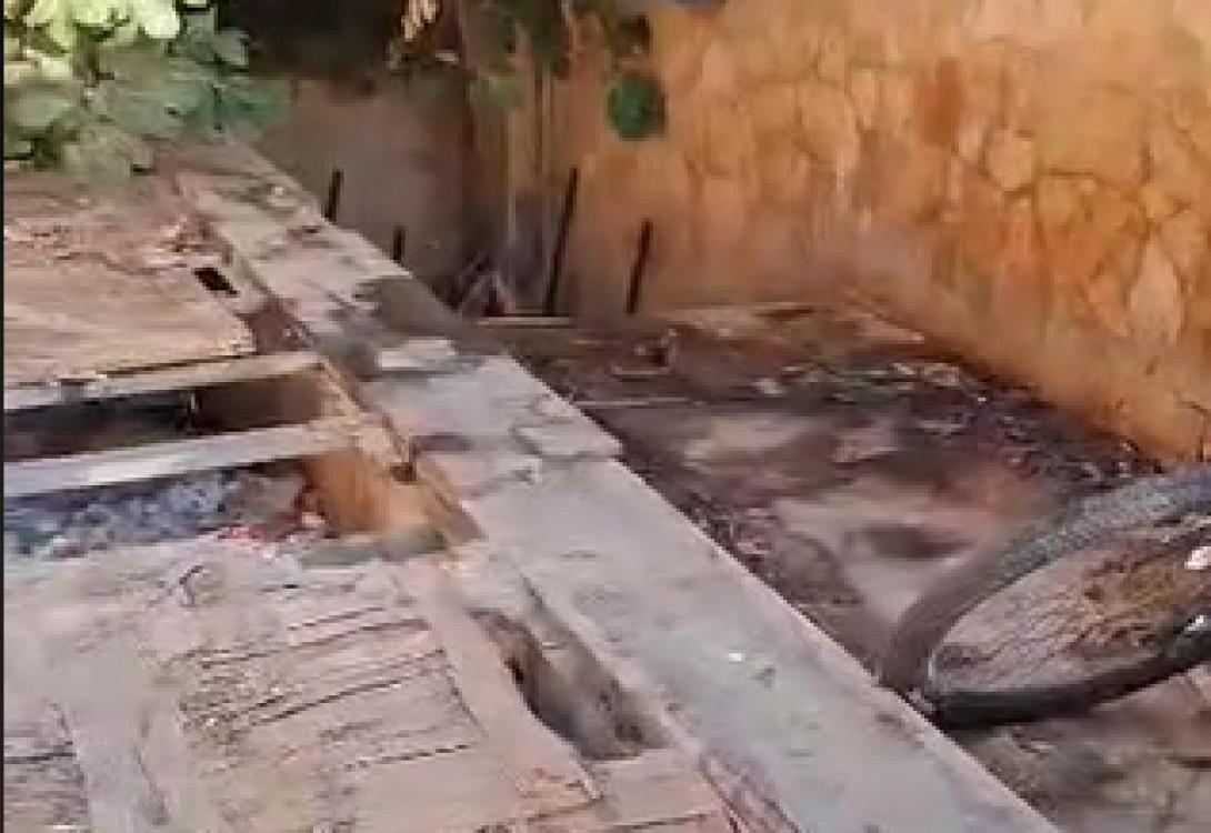 Χανιοπορτα - σκουπίδια 