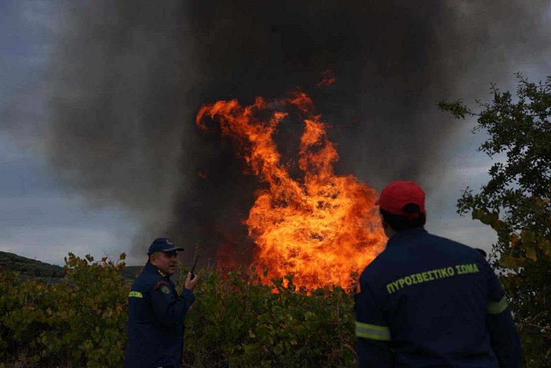 φωτιά Μαλάδες