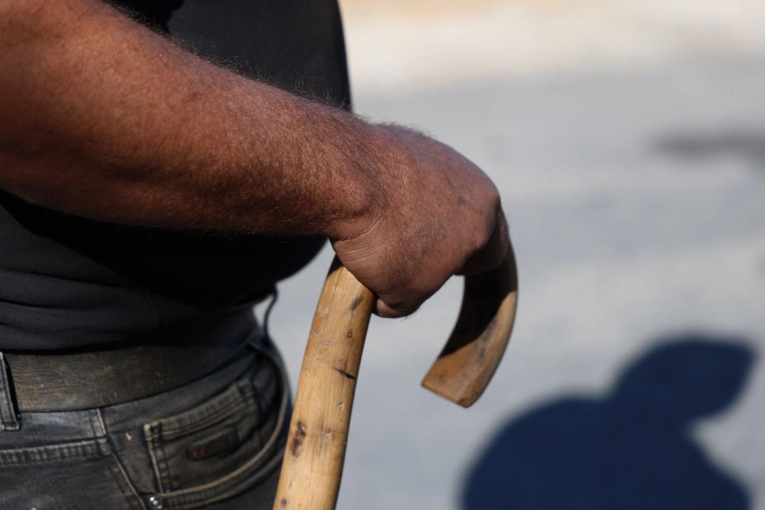 Κτηνοτρόφος