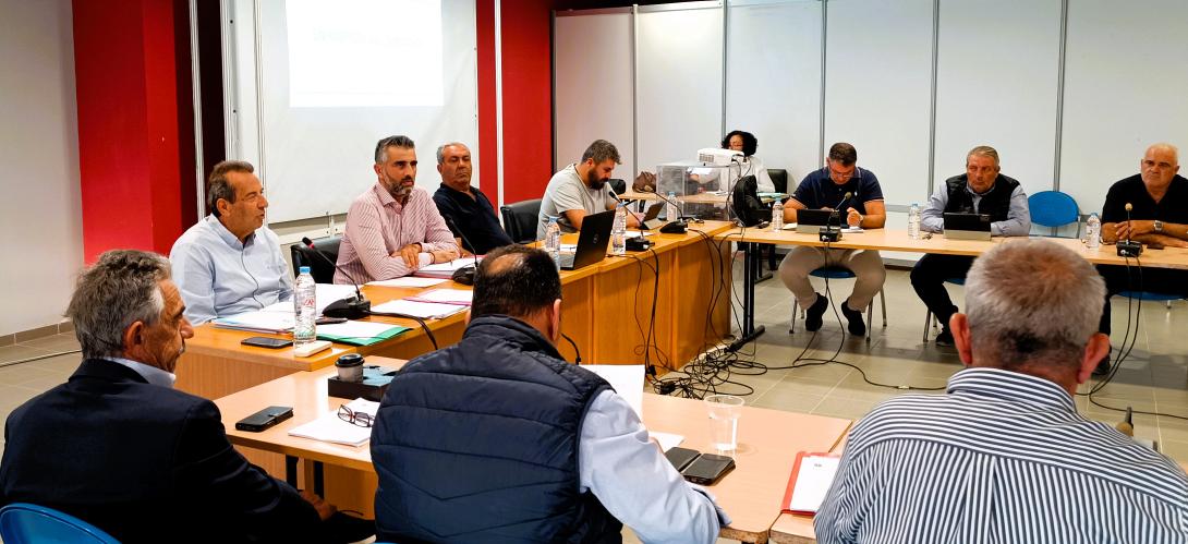 Δημοτικό Συμβούλιο