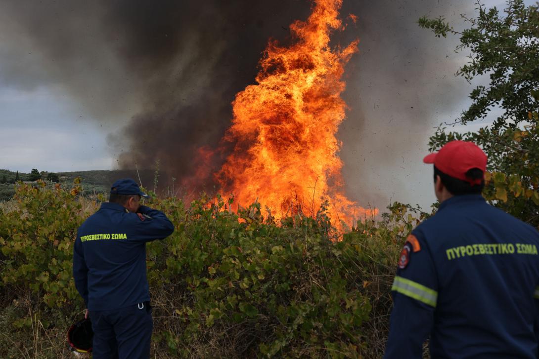 φωτιά Μαλάδες