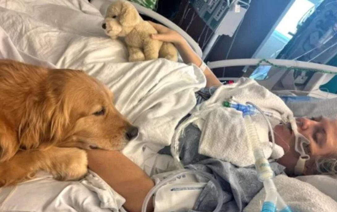 σκυλος κωμα