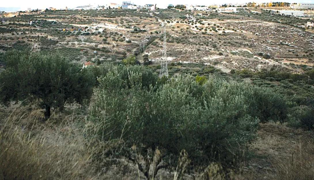 ΠΑΠΑ ΤΙΤΟΥ ΜΕΤΟΧΙ