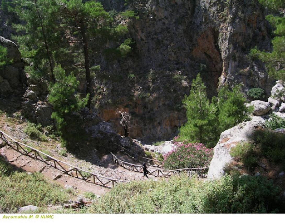 ΦΑΡΑΓΓΙ ΛΙΣΣΟΥ