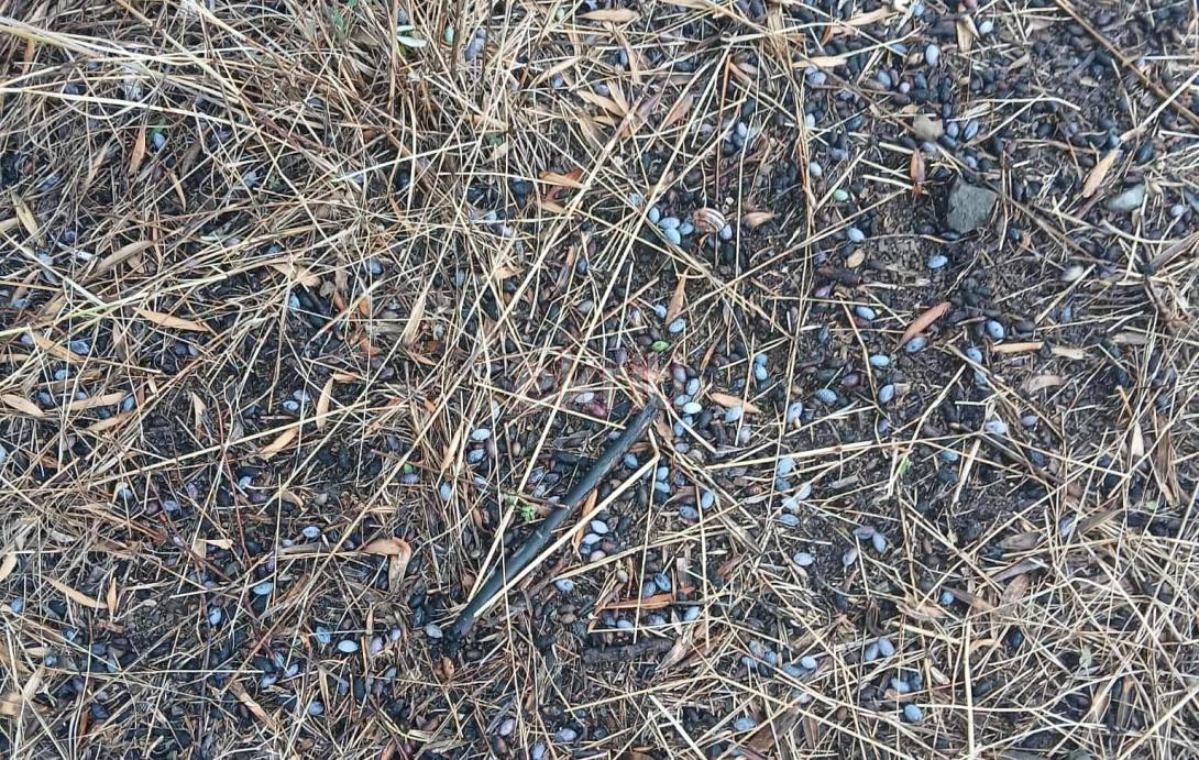 καλλιέργειες - χαλάζι 