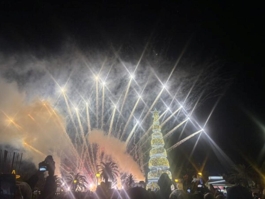 ΦΩΤΑΓΩΓΗΣΗ ΔΕΝΤΡΟΥ