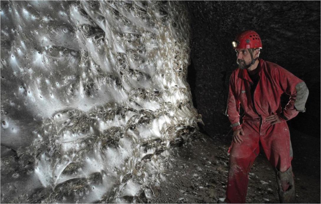 ιστός αράχνης