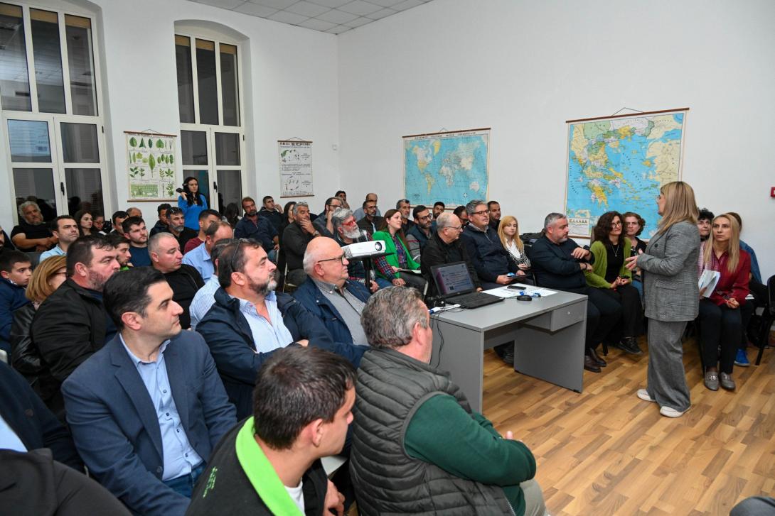 ΕΚΔΗΛΩΣΗ ΜΕΣΣΑΡΑ