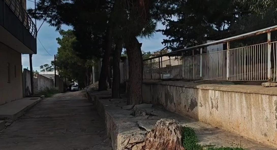 Νέα πέραμος