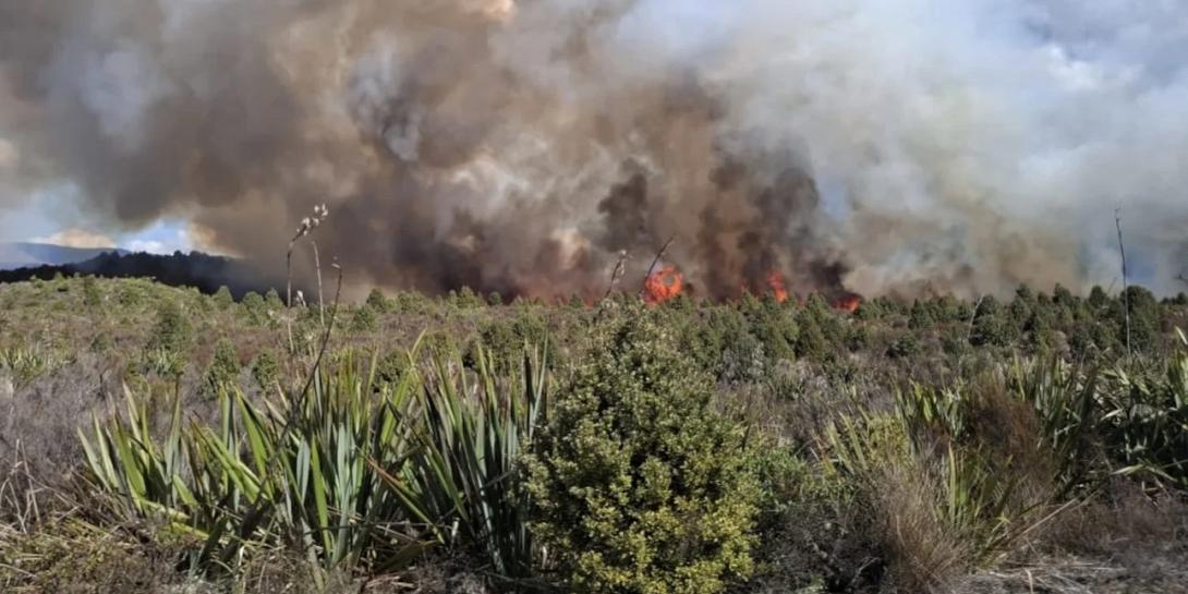 Νέα Ζηλανδία