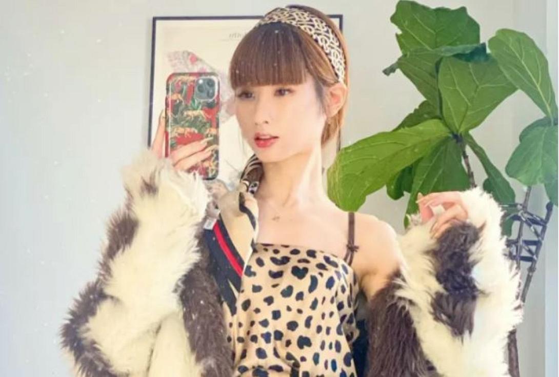 influencer, σύλληψη