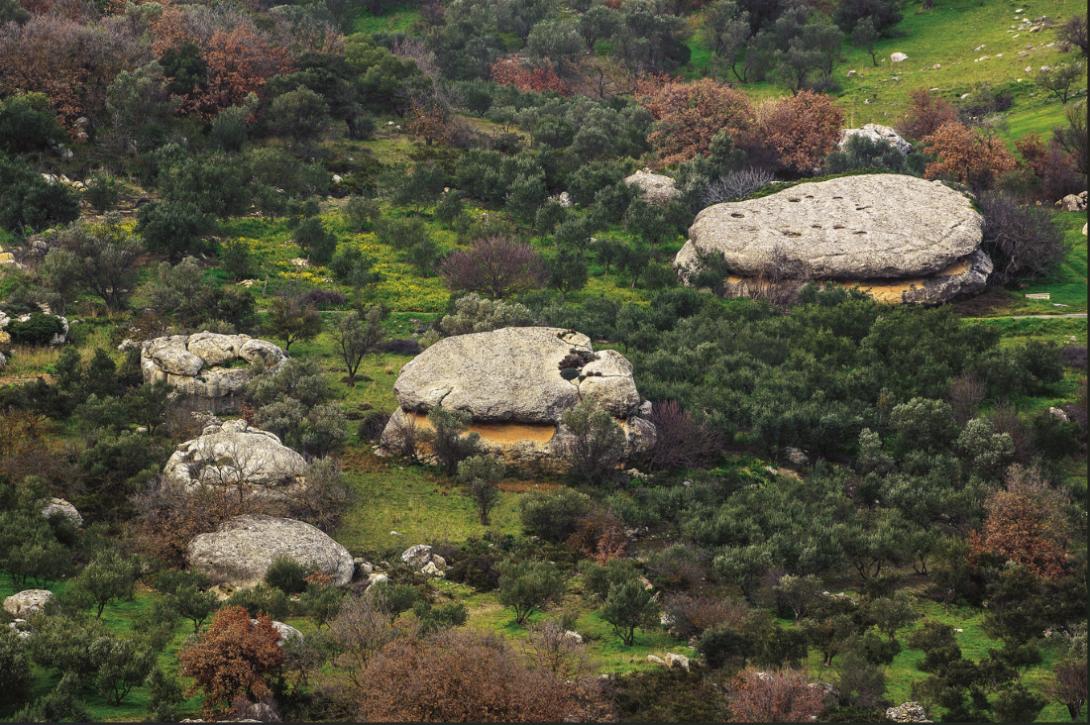 πίτες της γριάς πρινιάς