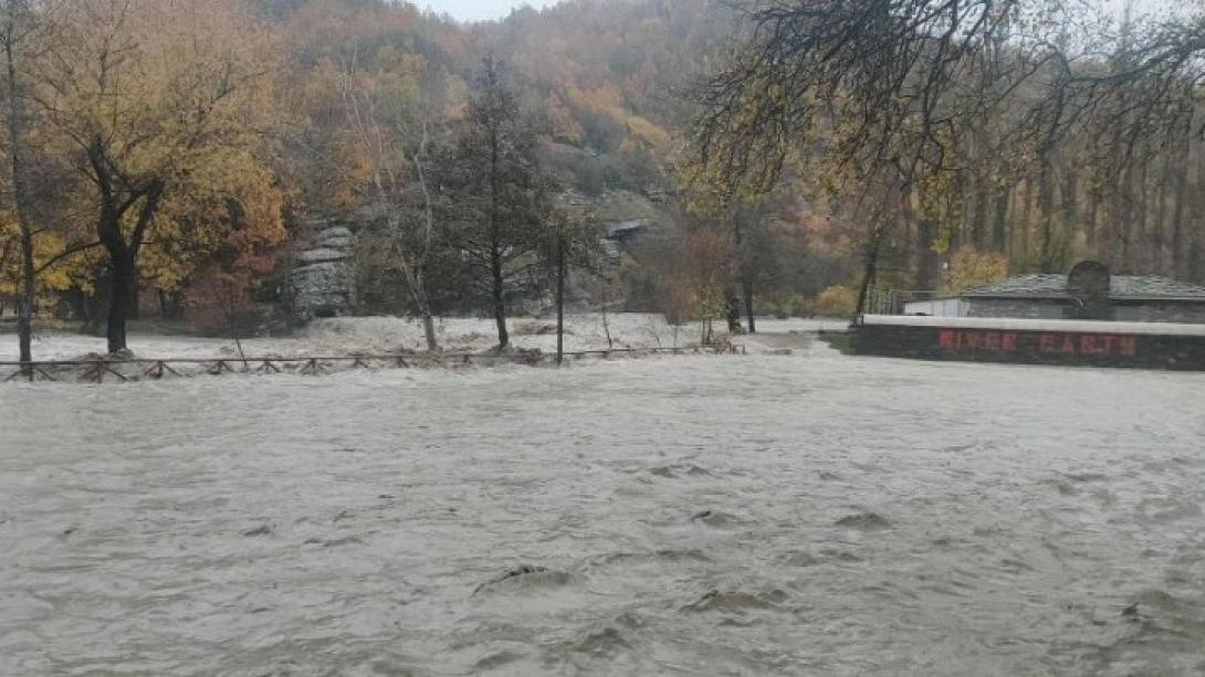 αλιακμονας